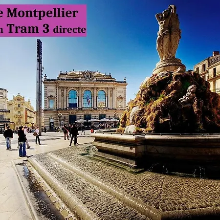 펜션 Climatisee F3 Entre Et Montpellier