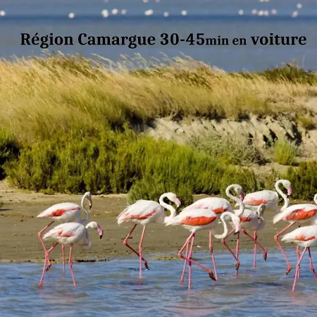 Climatisee F3 Entre Et Montpellier لات